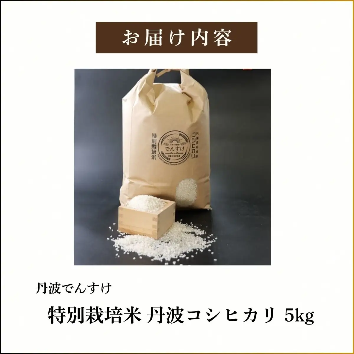 特別栽培米 丹波コシヒカリ 5kg 〈丹波市産〉〈精米仕立て〉 白米 コシヒカリ