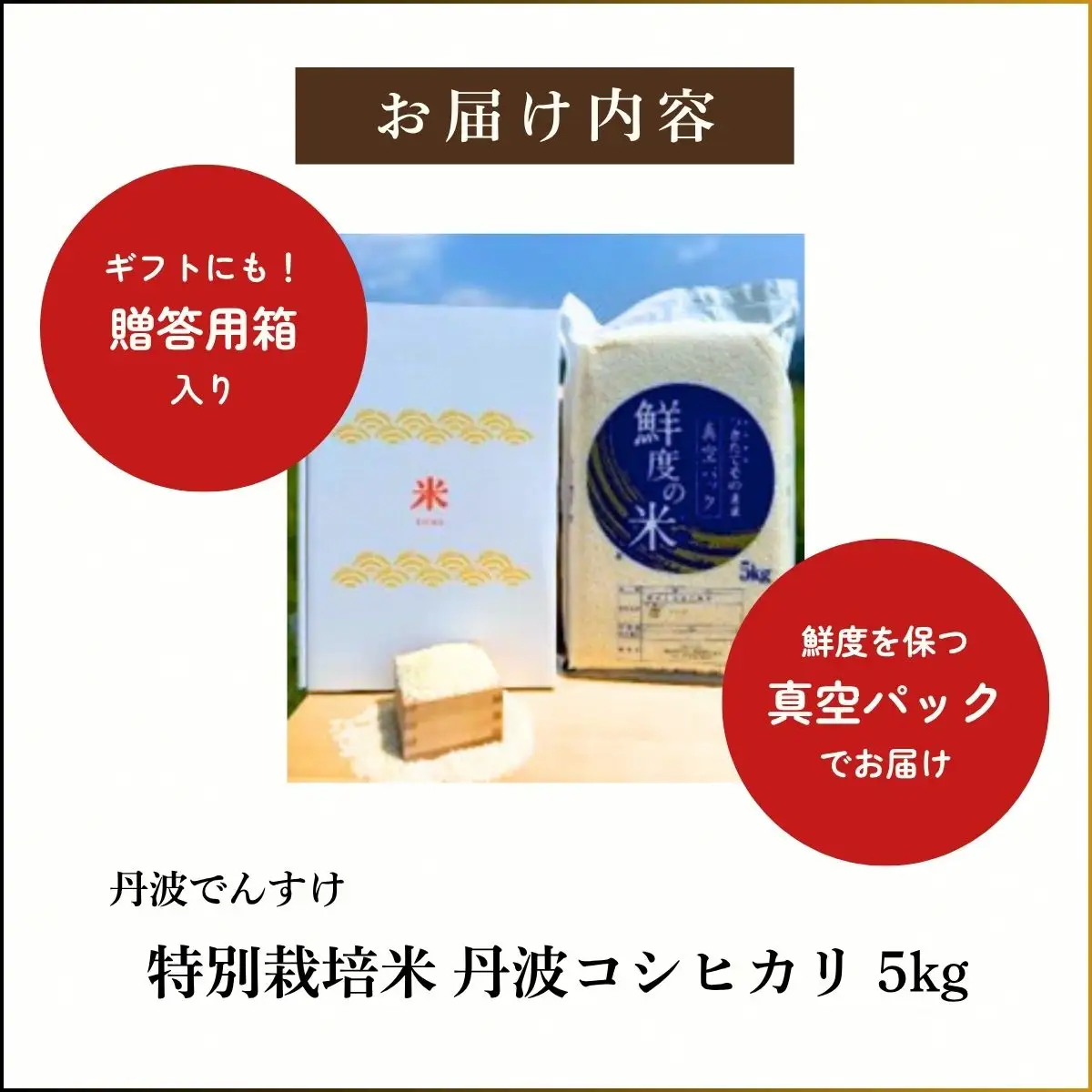 特別栽培米 丹波コシヒカリ 真空パック 5kg 〈丹波市産〉〈精米仕立て〉 白米 コシヒカリ