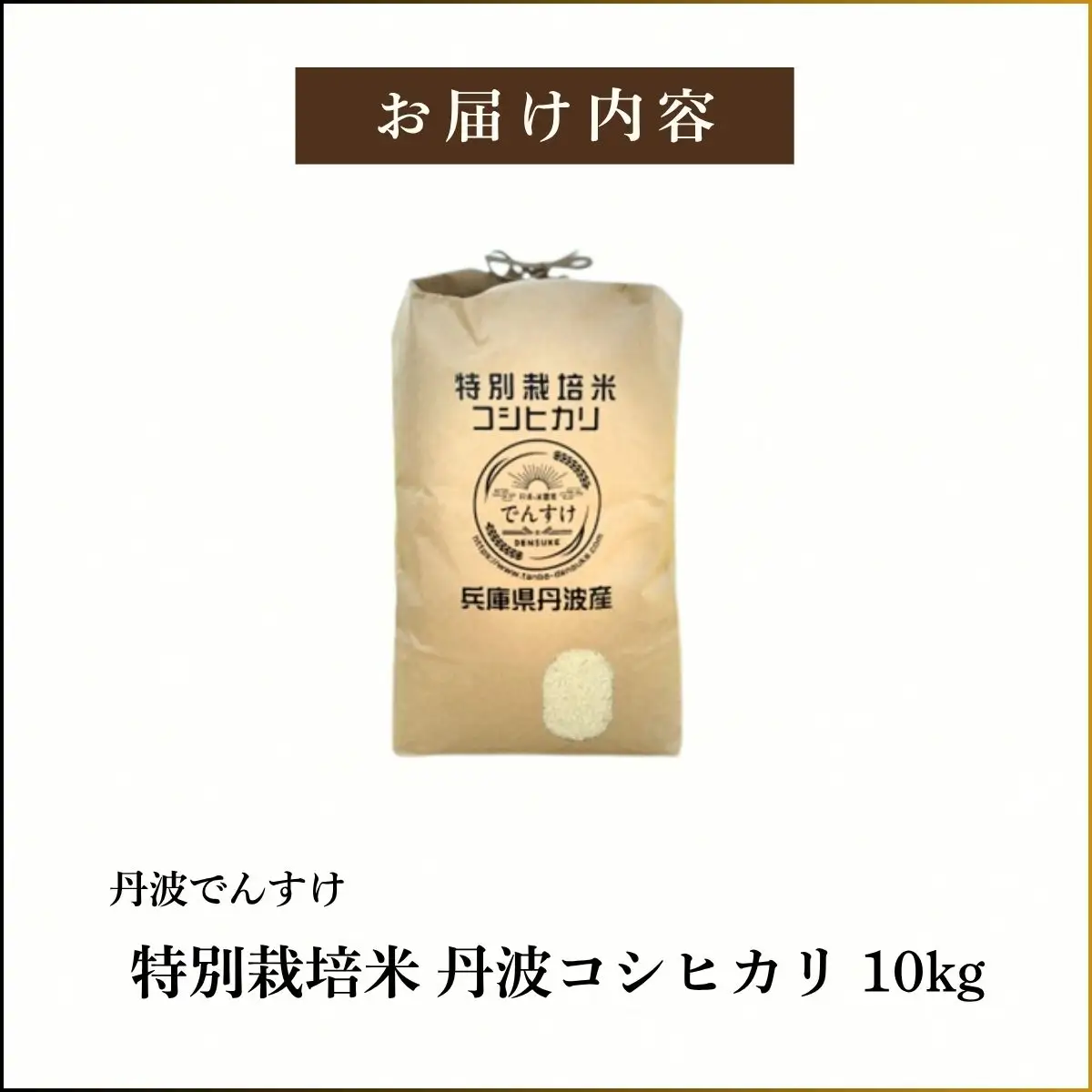 特別栽培米 丹波コシヒカリ 10kg 〈丹波市産〉〈精米仕立て〉 白米 コシヒカリ