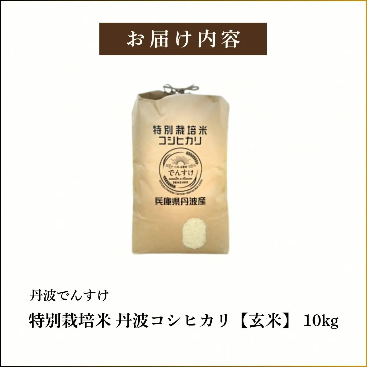 特別栽培米 丹波コシヒカリ 玄米 10kg 〈丹波市産〉 玄米 コシヒカリ