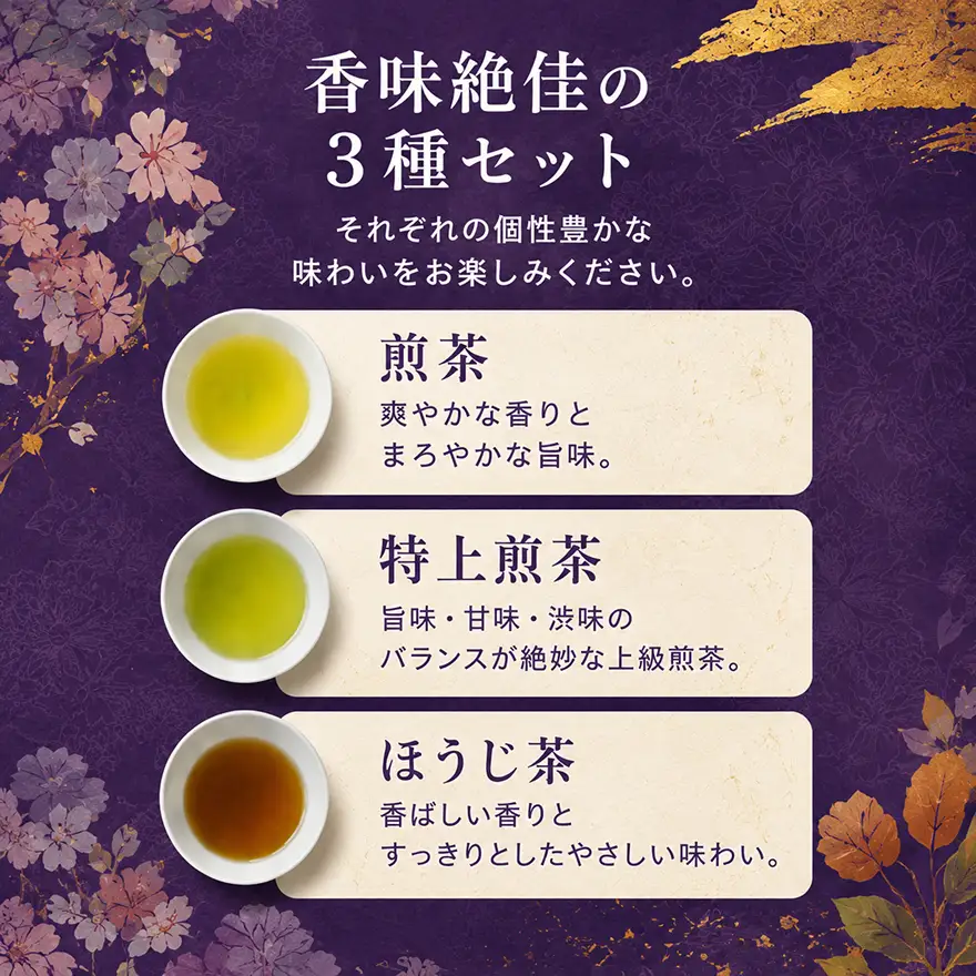 美濃いび茶セット TSH-30 飲料類 お茶 