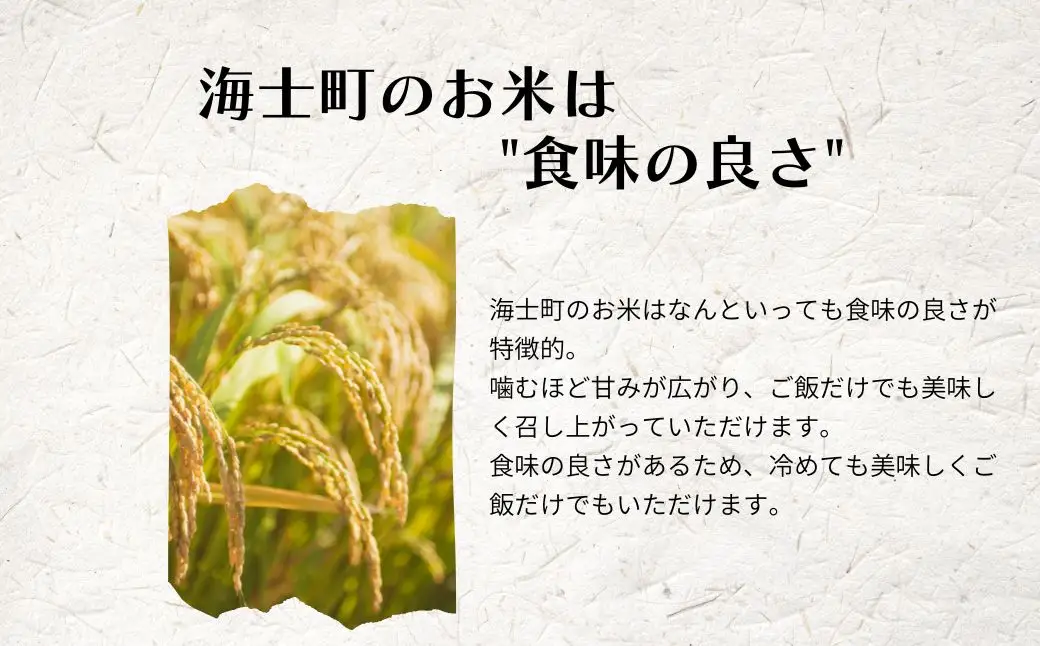 【令和8年度産】＜定期便6ヵ月＞お米 きぬむすめ 5kg×6回 定期便 お米
