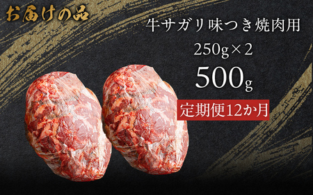 【12か月定期便】牛サガリ味つき焼肉用 500g (250g×2) MROBM027