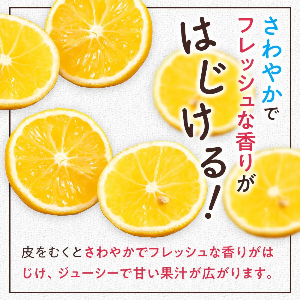 【希少フルーツ】超熟☆芳醇・湘南ゴールド(L・2Lサイズ)5kg　2027年3月下旬頃～4月上旬頃発送予定 | 湯河原町 中玉 Lサイズ 2Lサイズ 5kg 長期熟成 種なし 地域特産品