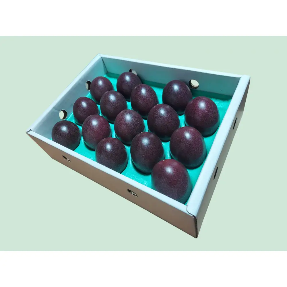 【2027年発送分 先行受付】パッションフルーツ 化粧箱15個入り(M玉)×２箱【たけはら農園】