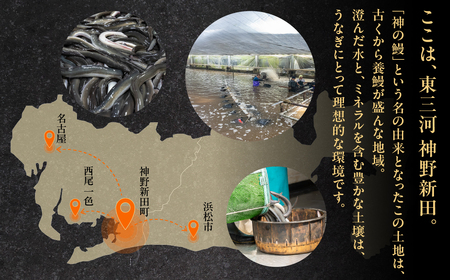 神の鰻 紅白4尾 国産 特上 うなぎ