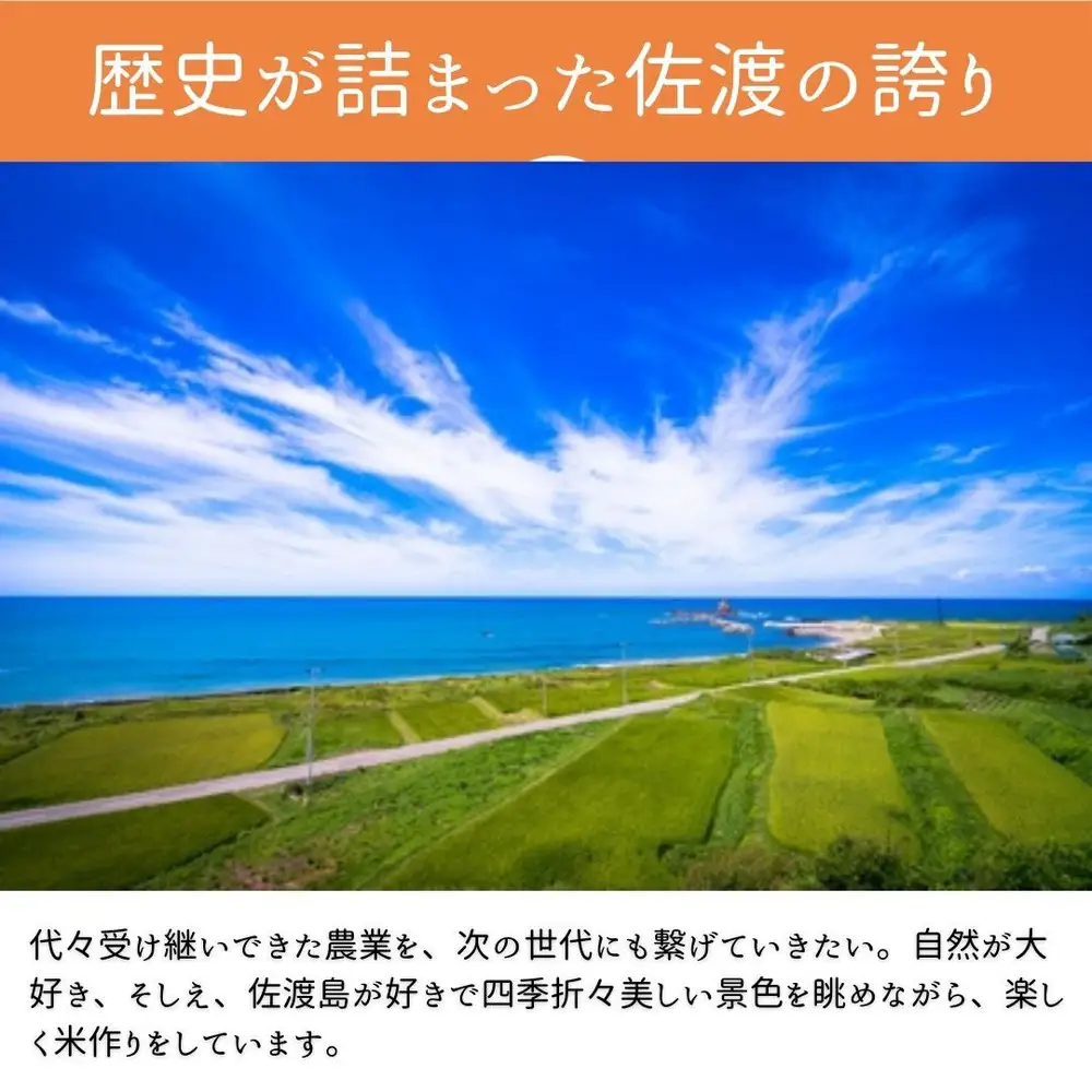 【6回定期便】令和8年産 佐渡産コシヒカリ 無洗米 合計12kg（2kg×全6回）数量限定 送料無料