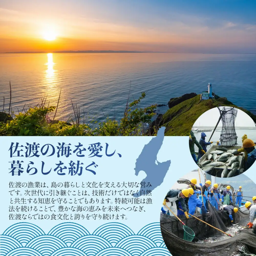佐渡産 鮭 さけ 3種の味付けセット 焼き上げ加工済 |新潟県