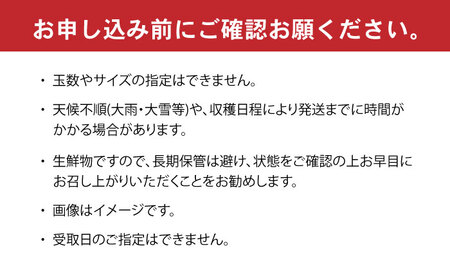 伊木力産　森山果樹園のこだわりみかん 5kg / みかん ミカン 柑橘 伊木力みかん 温州みかん / 諫早市 / 森山果樹園[AHCO008]
