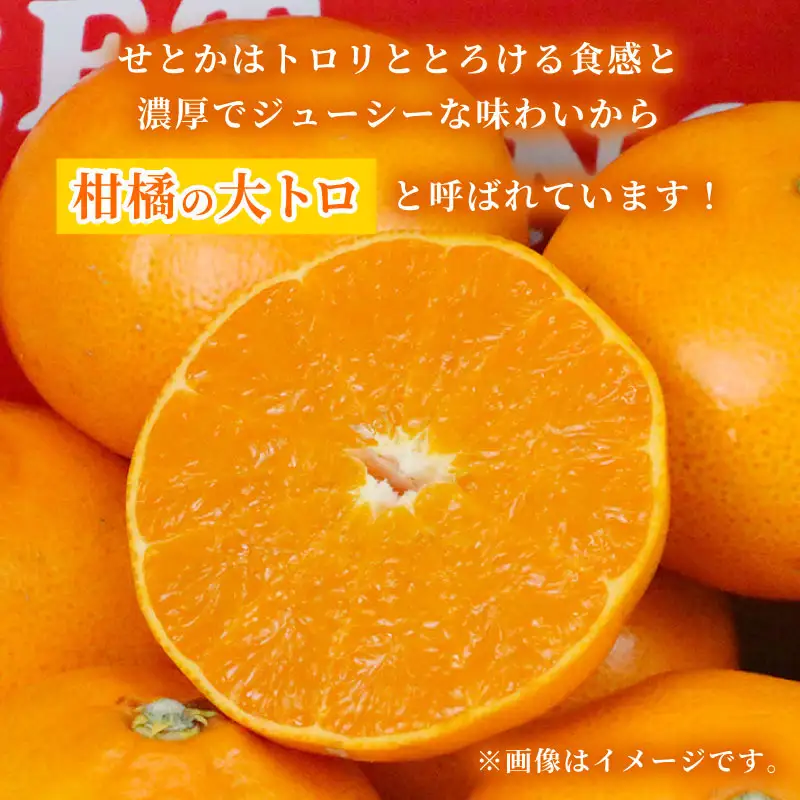 訳あり せとか 矢野青果 5kg せとか B012-171032