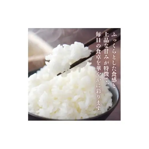 愛媛県産にじのきらめき10kg