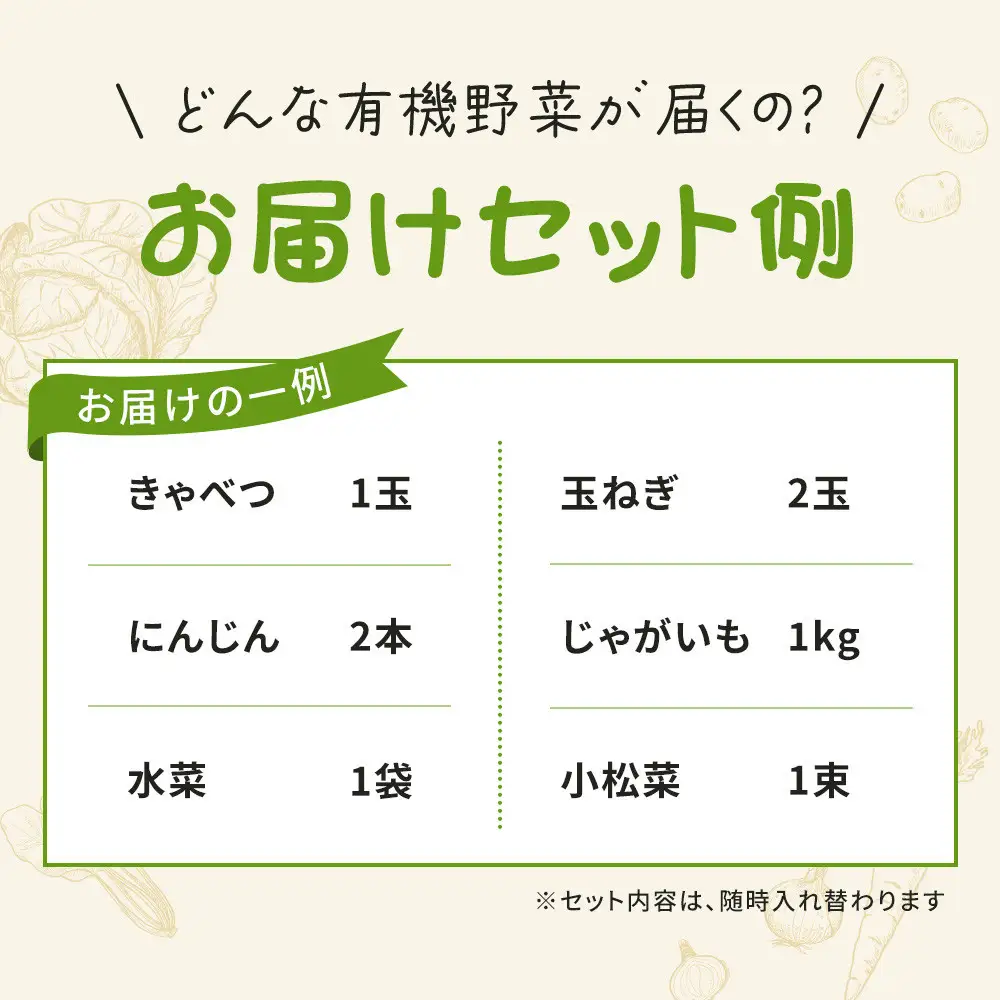 【年内発送可！(12月27日決済完了分まで）】有機野菜詰め合わせセット(5～6種類)