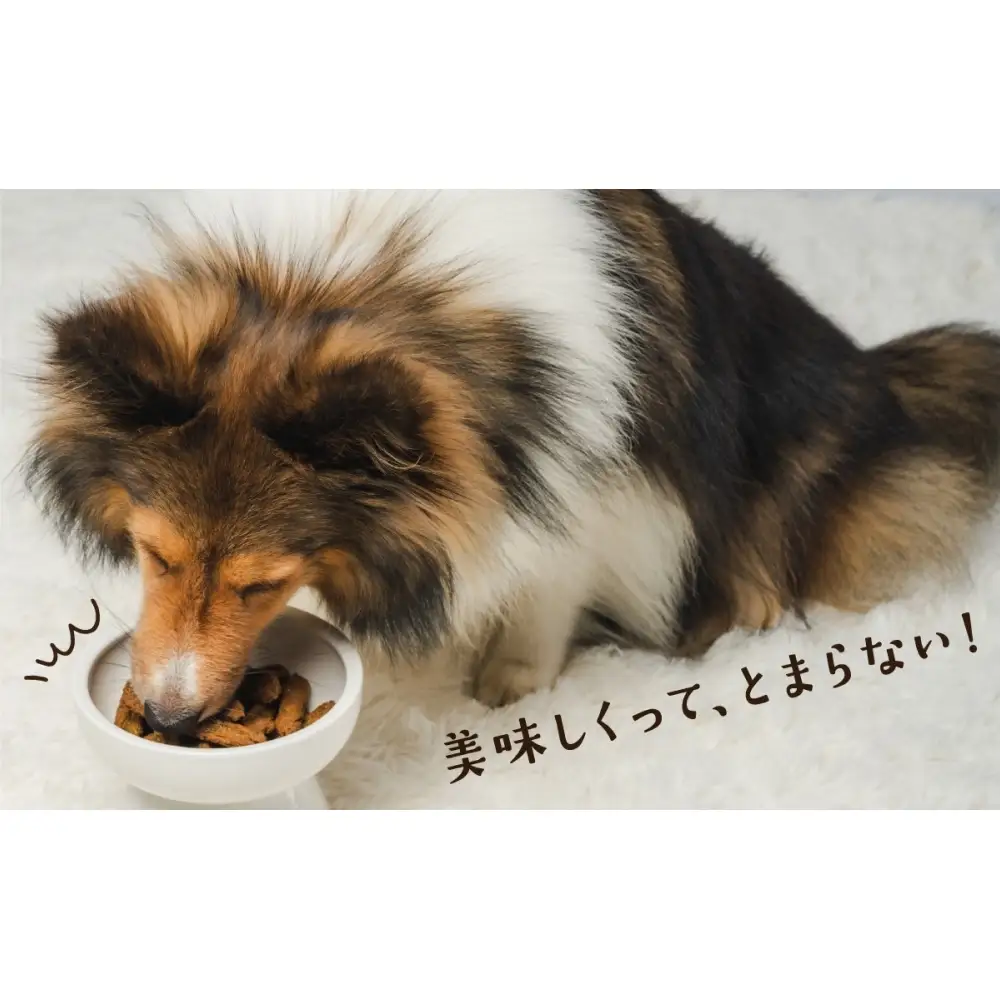 ワンちゃんのおやつ 鶏 ４袋 鶏肉 ドッグフード 犬 おやつ 無添加 グルテンフリー 国産 