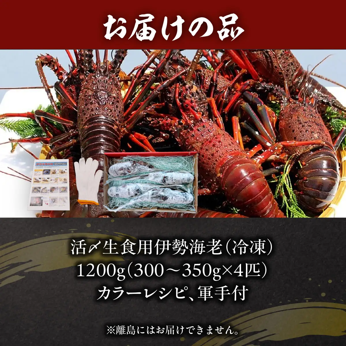 活〆生食用伊勢海老（冷凍）1200g（300～350g）×4匹  ONJB039
