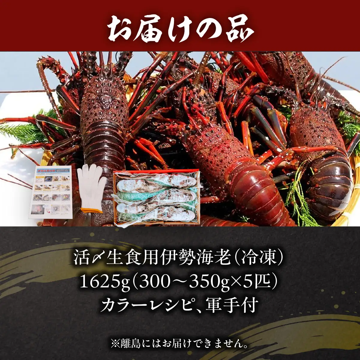 活〆生食用伊勢海老（冷凍）1625g（300～350g）×5匹  ONJB040