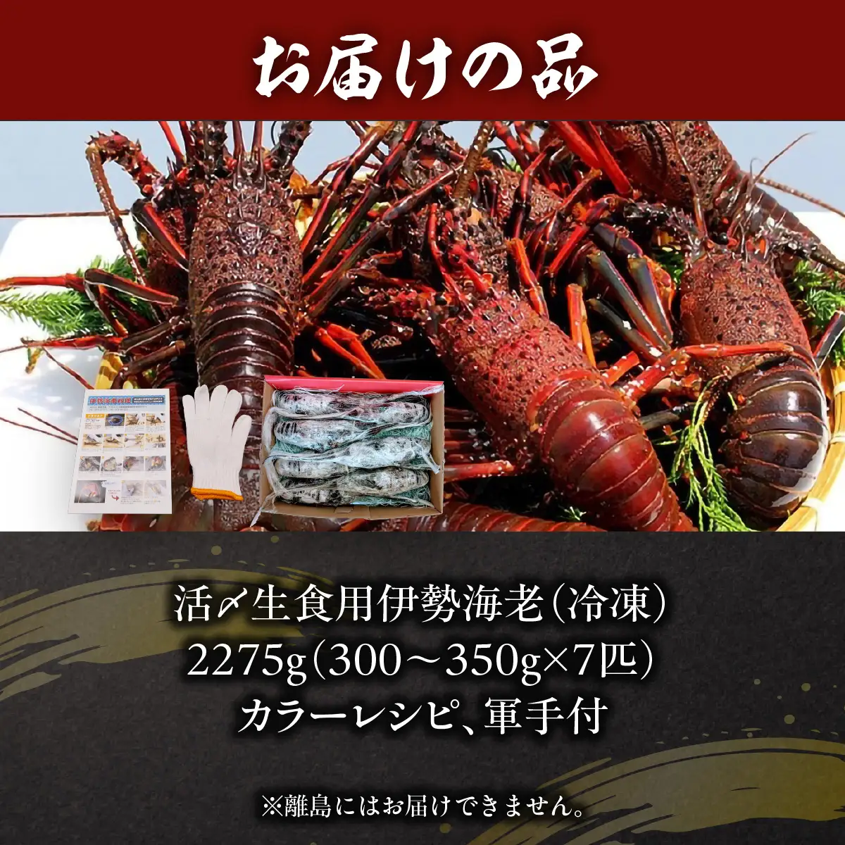 活〆生食用伊勢海老（冷凍）2275g（300～350g）×7匹  ONJB042