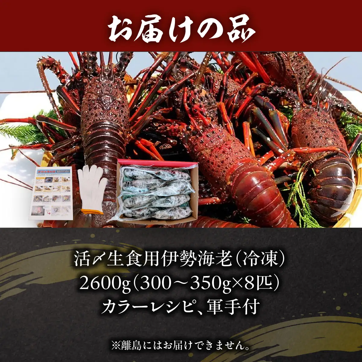 活〆生食用伊勢海老（冷凍）2600g（300～350g）×8匹  ONJB043
