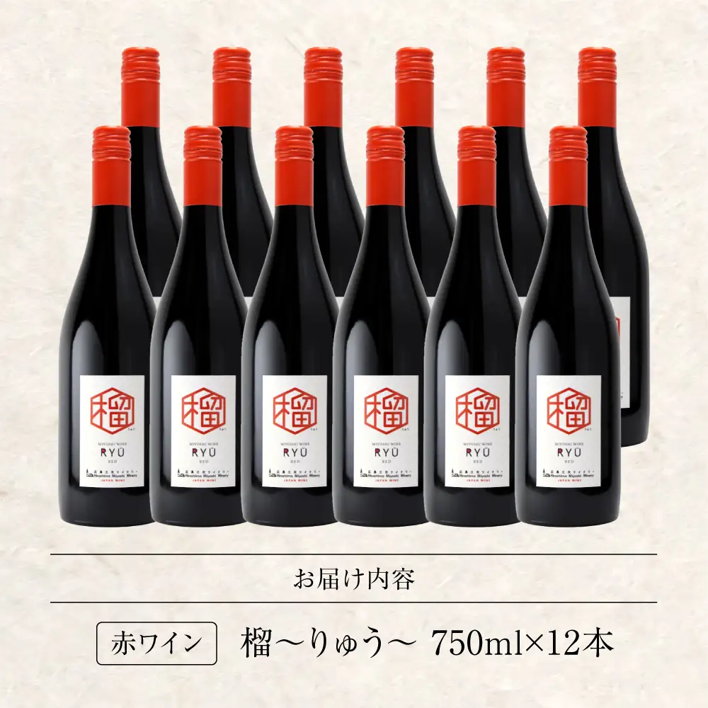 赤ワイン 榴 りゅう RYU 750ml×12本 [APAZ136]赤ワイン