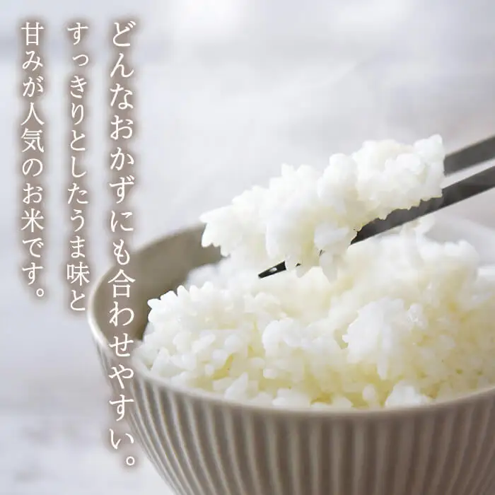 ひのひかり (計5kg) 米 お米 ひのひかり ヒノヒカリ 白米 ご飯 大分県産【118500200】【両院農産】