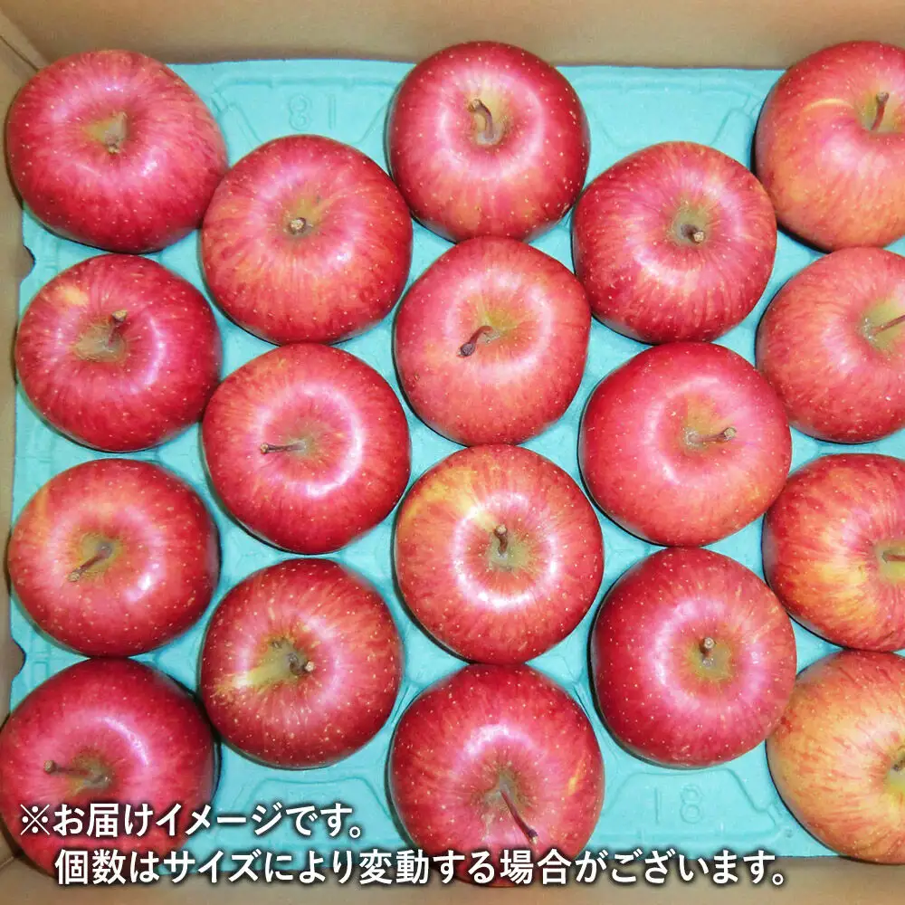 《先行受付》茂木農園のりんご ふじ 約5kg 16～18玉