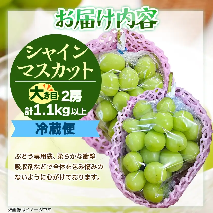 『2026年発送 先行受付』信州高山村【新鮮朝採り】シャインマスカット 2房1.1kg以上!【配送不可地域：離島】【1625531】