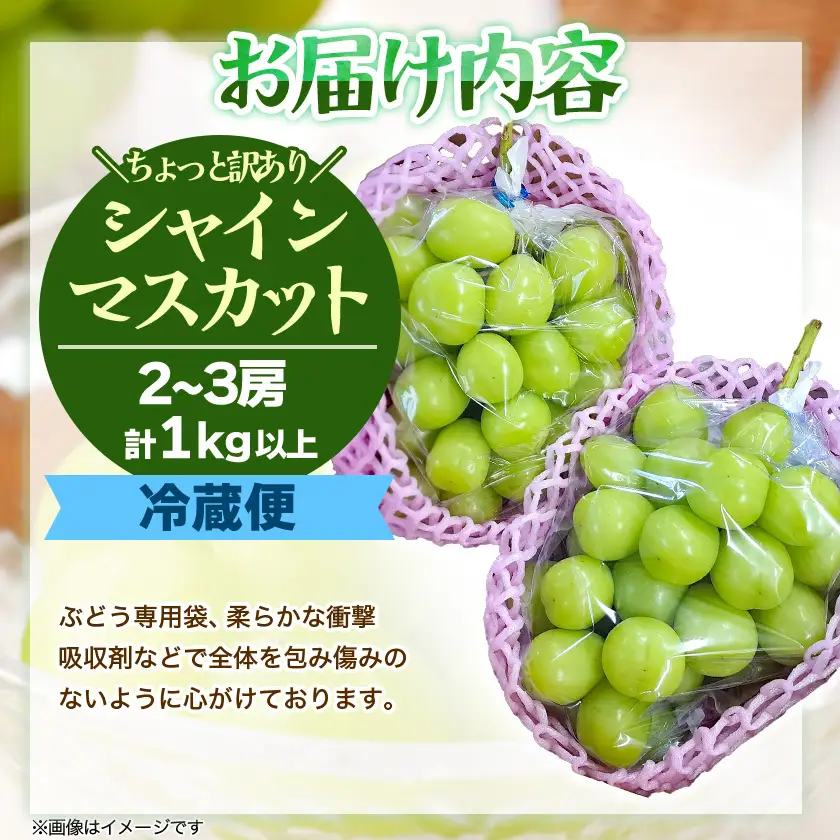 『2026年発送 先行受付』 ちょっと訳あり 信州産 新鮮朝採りシャインマスカット 2～3房1kg【配送不可地域：離島】【1625533】