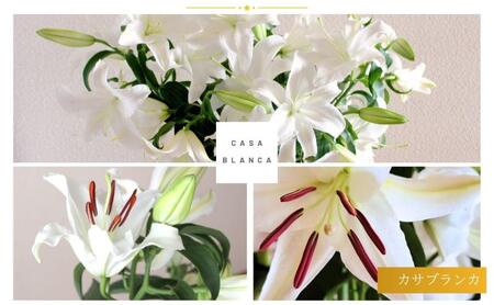 カサブランカ(規格外品)10本束(5本束×2) 花 お花 規格外 花束 切り花 新潟県 十日町市