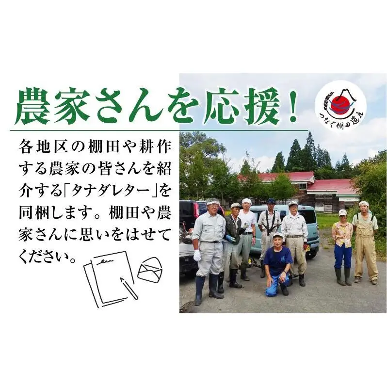 無洗米5kg　令和7年産新潟県十日町市魚沼産コシヒカリ「つなぐ棚田米」 米 こしひかり 無洗米 十日町市