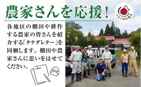 【定期便／全3回】無洗米5kg　令和7年産新潟県十日町市魚沼産コシヒカリ「つなぐ棚田米」 米 こしひかり 無洗米 定期 十日町市
