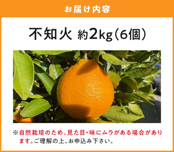 S178-004_【自然栽培】不知火 約2kg