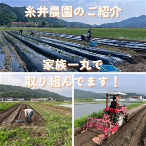【熟成干し芋】京都府与謝野町産 紅はるか 農家こだわり京の干し芋 100g×10袋 糸井農園【配送不可地域：離島】【1699416】