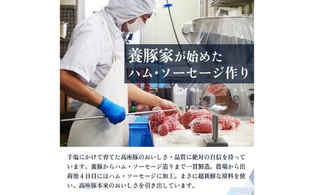 ウインナーセット しそ入り ガーリックチーズ ラインバイザ ウインナーセット【計300g 3種】