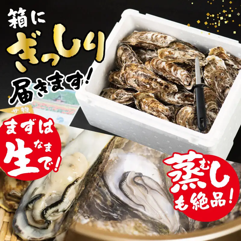 北海道 オホーツク 湧別 サロマ湖産 殻付き 牡蠣 生食可 3.5kg 