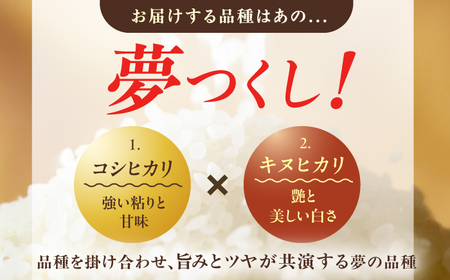 【4回定期便】令和7年産 福岡県産米 夢つくし10kg（5kg×2袋） 広川町 / たなか農産[AFCJ008]