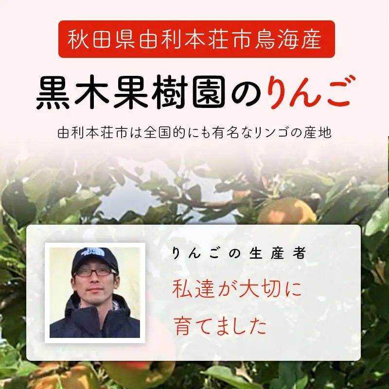 《先行受付》りんご（ふじ）5kg 黒木果樹園のりんご（12月上旬～1月下旬に発送）