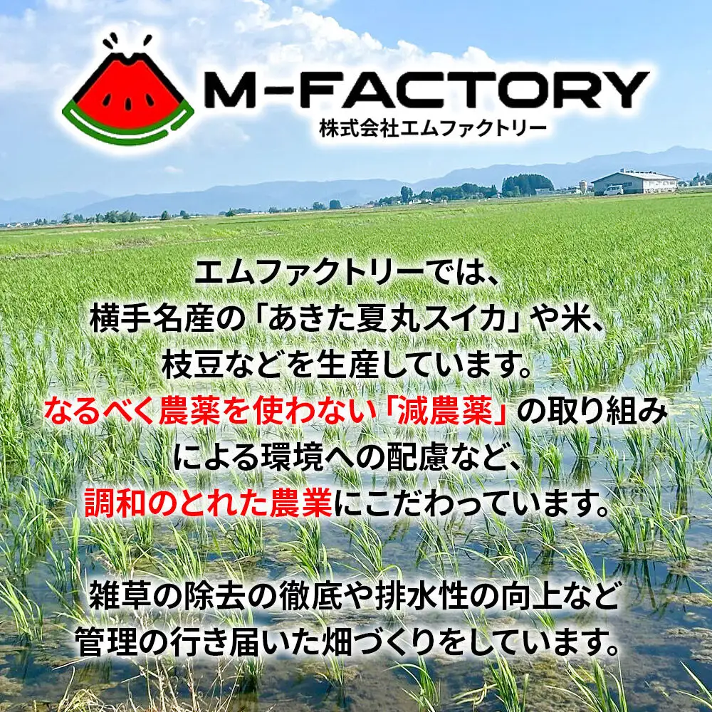 【白米】令和7年産 あきたこまち 10kg（5kg×2袋）横手市産