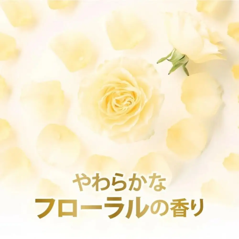 【定期便 毎月2ヶ月】ダヴ ボディウォッシュ プレミアム モイスチャーケア つめかえ用 600g×2