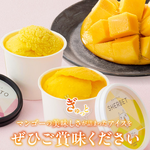 【2027年7月お届け】完熟マンゴーのジェラート＆シャーベット130ml×8個入り  〔Dw012-08〕