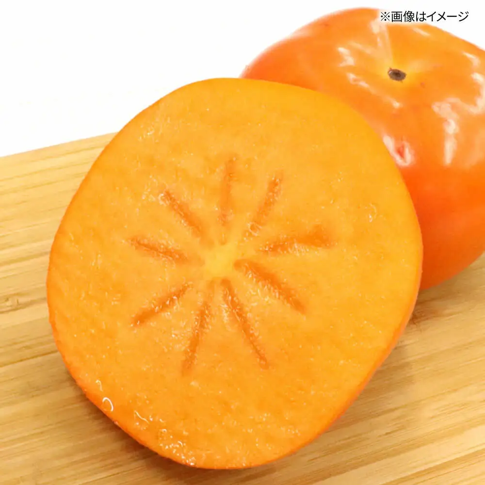 秋の贅沢、濃厚であまーい柿の新ブランド「秋王」約1.5kg こだわりの黒化粧箱／2026年10月-11月頃より発送予定 桂川町/一般社団法人地域商社ふるさぽ[ADCF009]