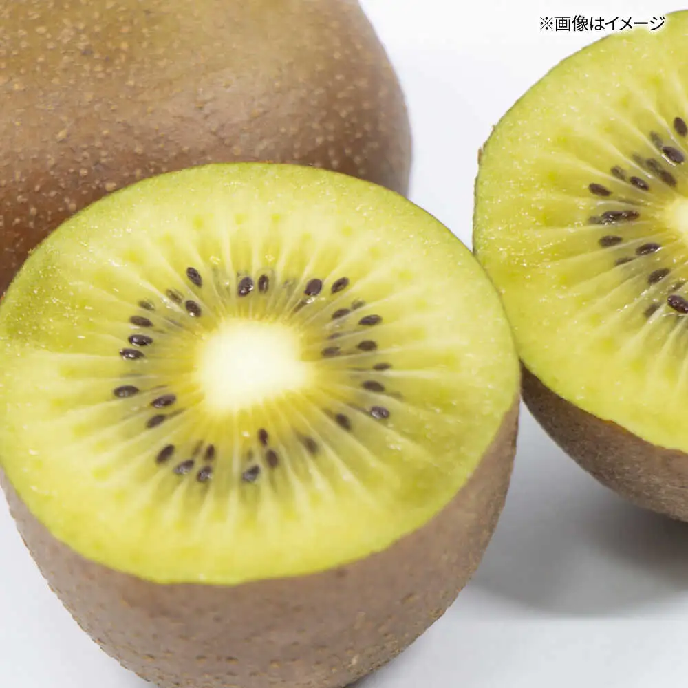 福岡限定品種キウイ「甘うぃ」約3kg／2026年11月頃より発送予定 桂川町/一般社団法人地域商社ふるさぽ[ADCF012]