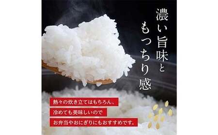 FK7-0268_【5カ月定期】【嘉島町産】くまさんの輝き 5kg 米 お米 コメ ごはん ご飯 食品 九州 熊本県 熊本 嘉島