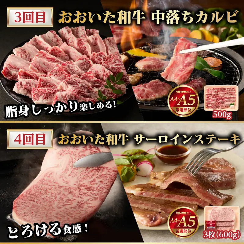 【隔月配送】【おおいた和牛堪能】隔月4回お届け定期便 T10098