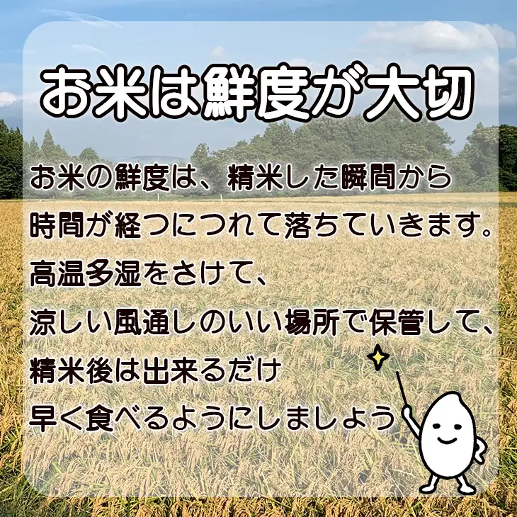 令和7年産 花巻産 ひとめぼれ 5㎏ 【2224】