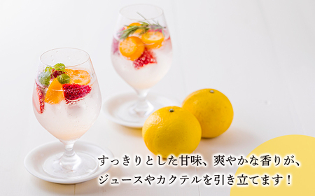 宮崎県の特産柑橘 日向夏の手搾り果汁200ml×5P  [保存料不使用40000円 ワンストップオンライン] TF0875-P00074
