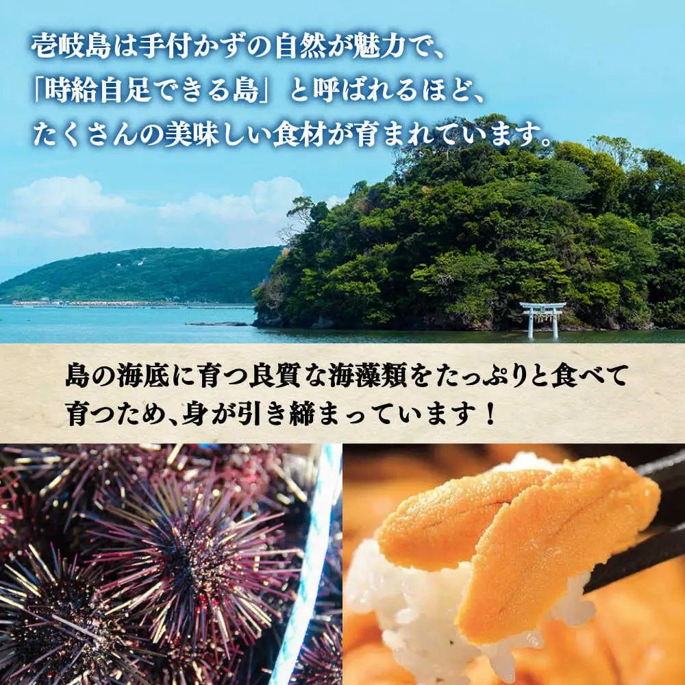 【全2回定期便】生うに うにめしの素 セット 《壱岐市》[JZX014] うに セット 