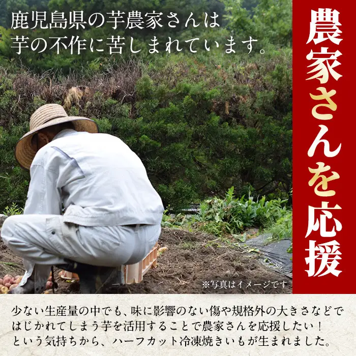 No.1342 ＜訳あり・規格外＞ハーフカット 紅はるか 冷凍焼きいも (計1.8kg以上・600g×3袋) 国産 九州産 サツマイモ さつま芋 訳アリ 規格外 紅春香 芋 焼き芋 やきいも 野菜 スイーツ 冷凍【末永商店】
