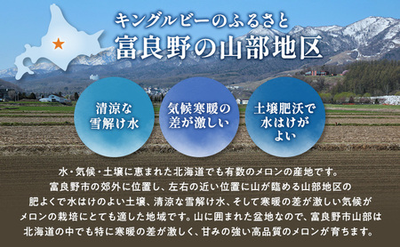 【2026年夏発送】富良野産 赤肉メロン 大玉 3～4玉（計6kg以上）[近藤農園] メロン フルーツ 果物 新鮮 甘い 贈り物 ギフト 道産 ジューシー おやつ ふらの ブランド 夏 北海道 富良野市
