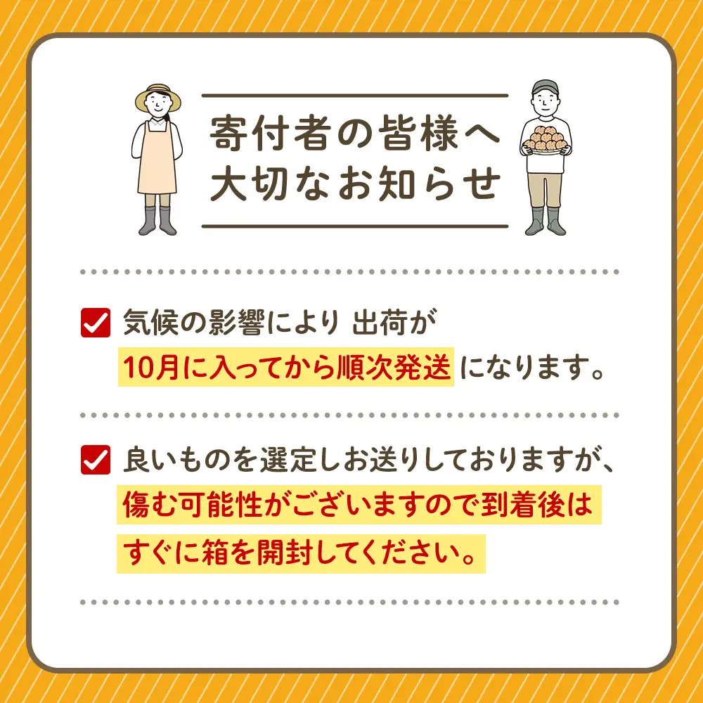 かねひろの黒酢みかん たっぷり 大玉 10kg （2L～3Lサイズ） 【7営業日以内発送】【2026年10月下旬から2027年1月下旬まで発送予定】 みかん ミカン 黒酢みかん 温州みかん 極早生種 早生種 中生種 晩生種 蜜柑 フルーツ 果物 くだもの 柑橘 常温 国産 佐賀県産 佐賀県 太良町 常温