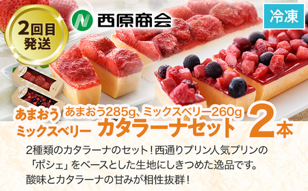 スイーツ定期便 通年 3回 3ヶ月 定期便 志免町 堪能 チーズケーキ カタラーナ プリン あまおう ベリー スフレチーズケーキ 冷凍 ブラックダイヤ おやつ お取り寄せ おいしい デザート 洋菓子 洋生菓子