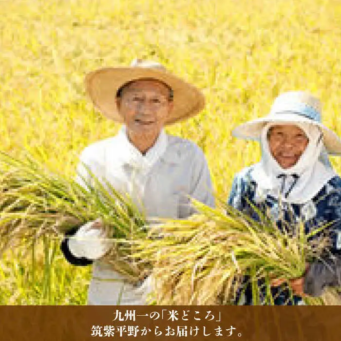 米 【特A】「元気つくし」5kg×1袋 [5kg] [白米] [ABDF201] 令和7年産 米 白米 精米 ご飯 ごはん こめ コメ